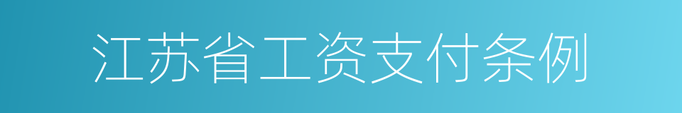 江苏省工资支付条例的同义词