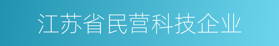 江苏省民营科技企业的同义词