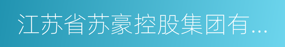 江苏省苏豪控股集团有限公司的同义词