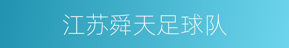 江苏舜天足球队的同义词