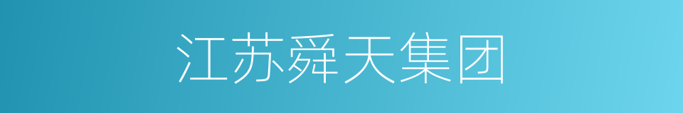 江苏舜天集团的同义词