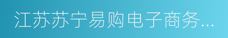 江苏苏宁易购电子商务有限公司的同义词