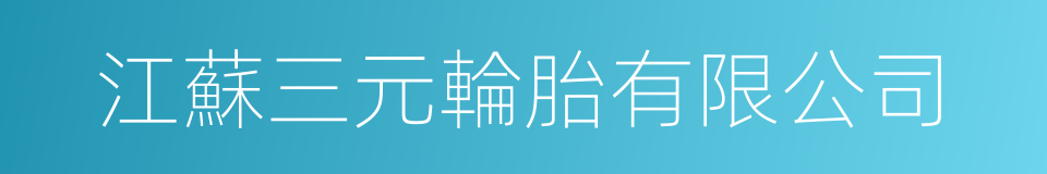 江蘇三元輪胎有限公司的同義詞