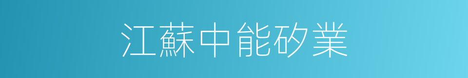 江蘇中能矽業的同義詞