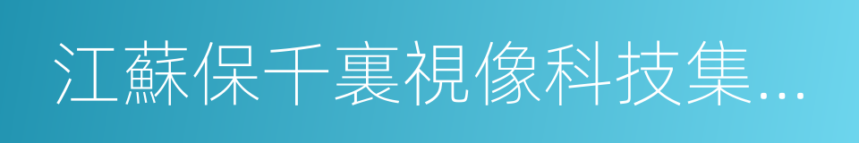 江蘇保千裏視像科技集團股份有限公司的同義詞