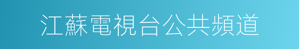 江蘇電視台公共頻道的同義詞