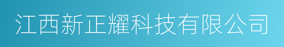 江西新正耀科技有限公司的同义词