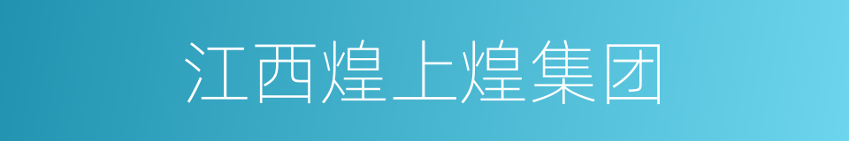 江西煌上煌集团的同义词