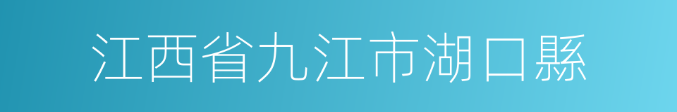 江西省九江市湖口縣的同義詞