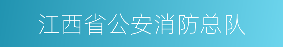 江西省公安消防总队的同义词