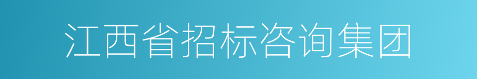 江西省招标咨询集团的同义词