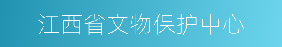 江西省文物保护中心的同义词
