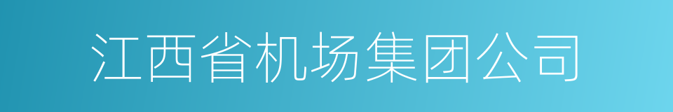 江西省机场集团公司的同义词