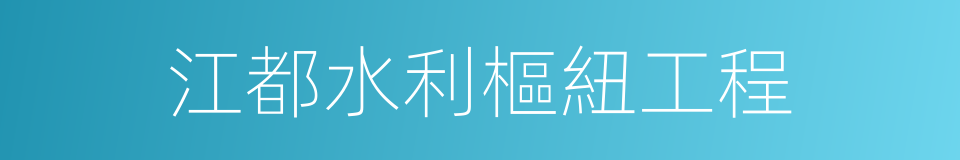 江都水利樞紐工程的同義詞