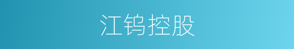 江钨控股的同义词