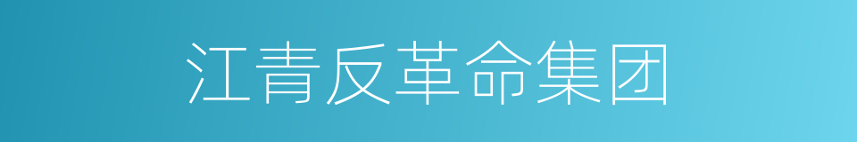 江青反革命集团的意思
