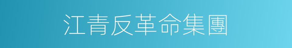 江青反革命集團的意思