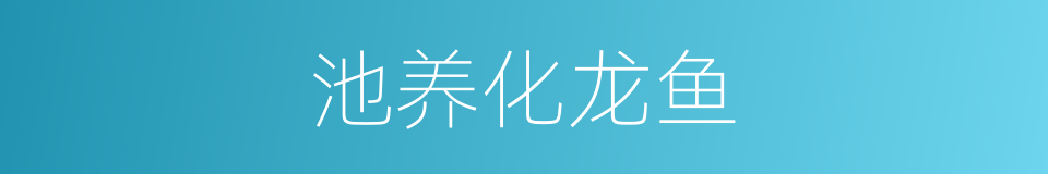 池养化龙鱼的同义词