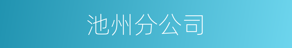 池州分公司的同义词