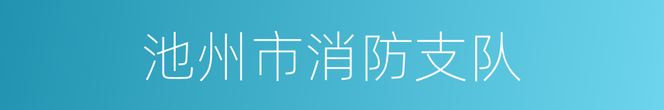 池州市消防支队的同义词