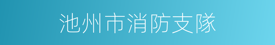 池州市消防支隊的同義詞