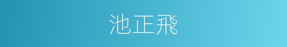 池正飛的同義詞