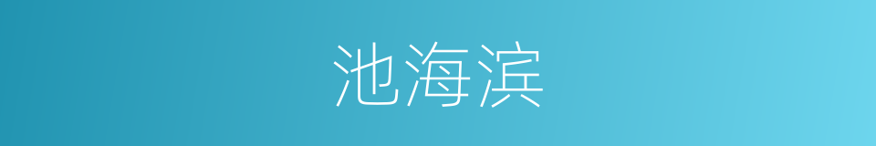 池海滨的同义词