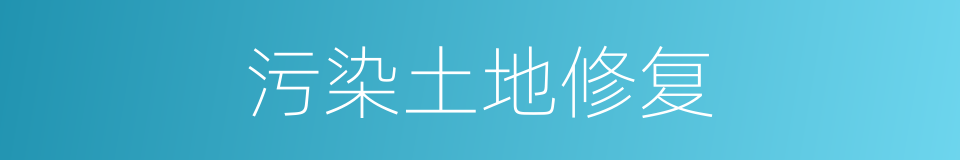 污染土地修复的同义词