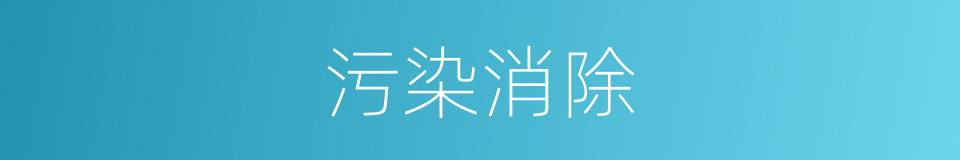 污染消除的同义词