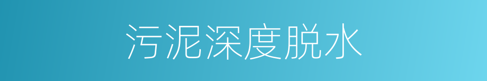 污泥深度脱水的同义词