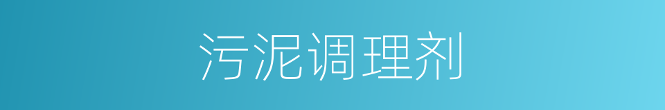 污泥调理剂的同义词
