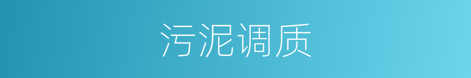 污泥调质的同义词