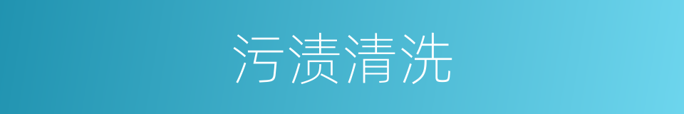 污渍清洗的同义词