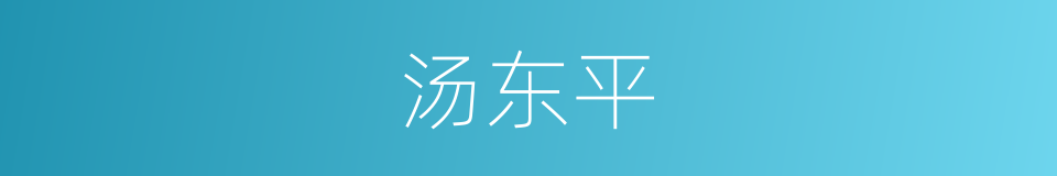 汤东平的同义词