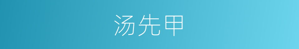 汤先甲的同义词
