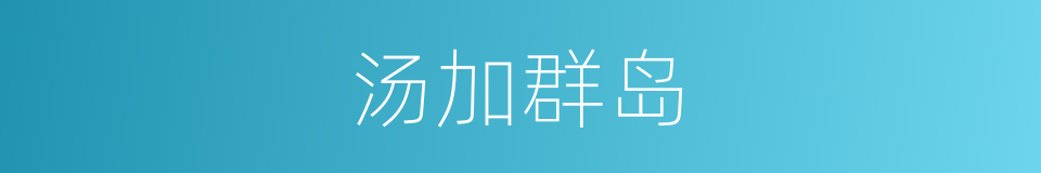 汤加群岛的同义词