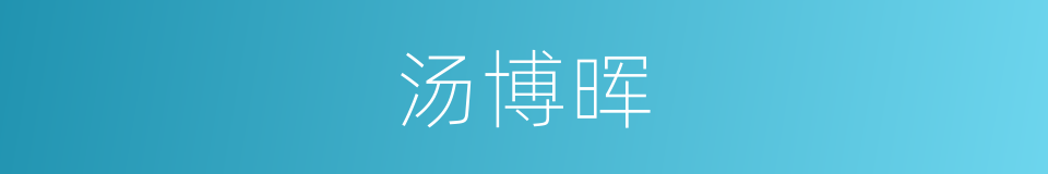 汤博晖的同义词