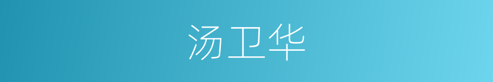 汤卫华的同义词