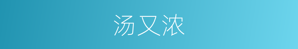 汤又浓的同义词