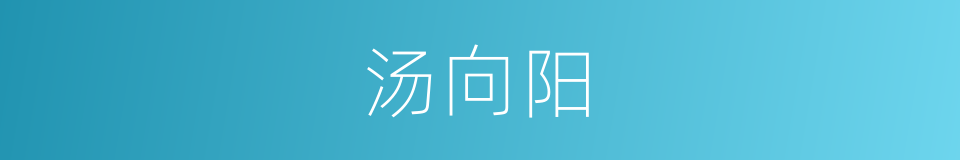 汤向阳的同义词