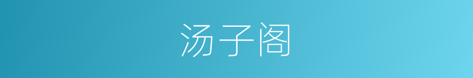 汤子阁的同义词