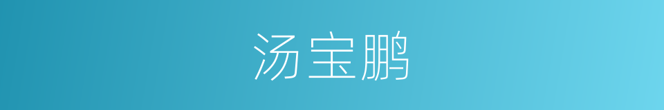 汤宝鹏的同义词