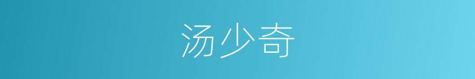 汤少奇的同义词