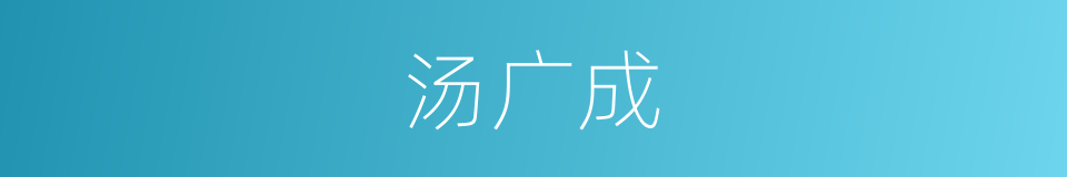 汤广成的同义词