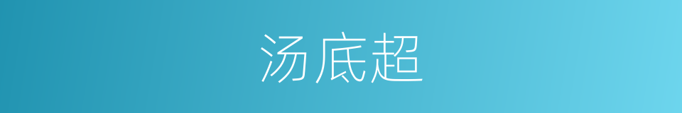 汤底超的同义词