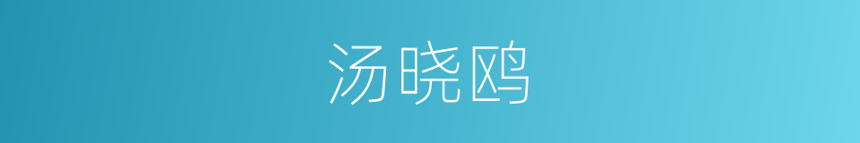 汤晓鸥的同义词