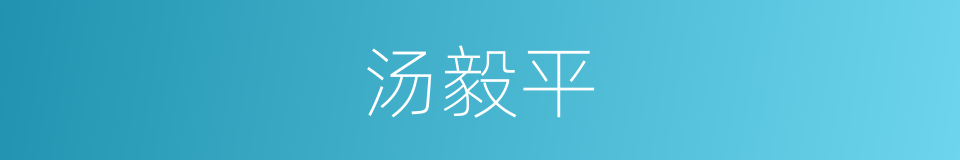 汤毅平的同义词