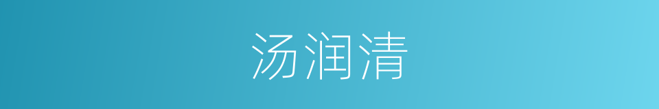 汤润清的同义词