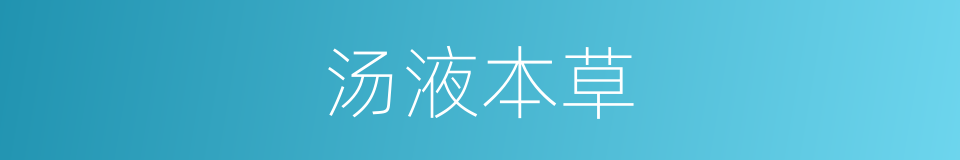 汤液本草的同义词