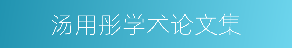 汤用彤学术论文集的同义词